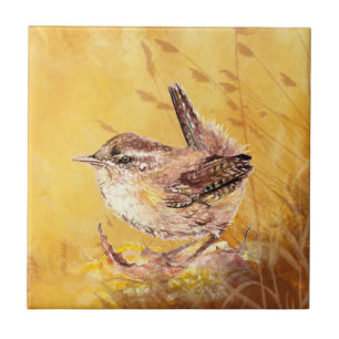 Carreau Watercolor Wren Bird Wildlife Art