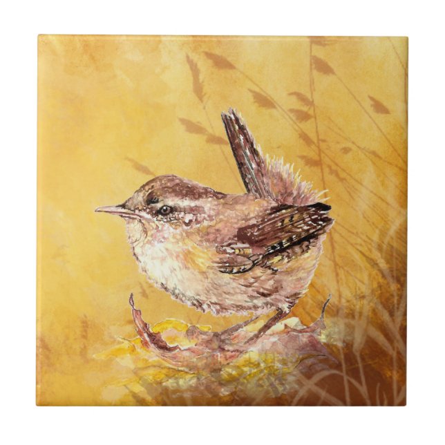 Carreau Watercolor Wren Bird Wildlife Art (Devant)