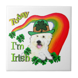Carreau West Highland White Terrier St Pats