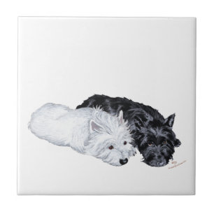 Carreau Westie et Scottie au repos