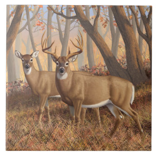 Carreau White Deer Buck & Doe Automne Maple Woods