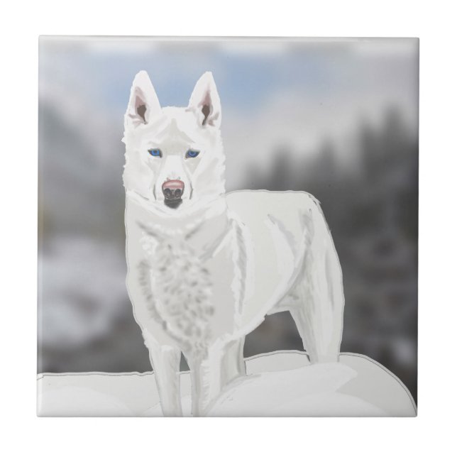 Carreau White Husky (Devant)