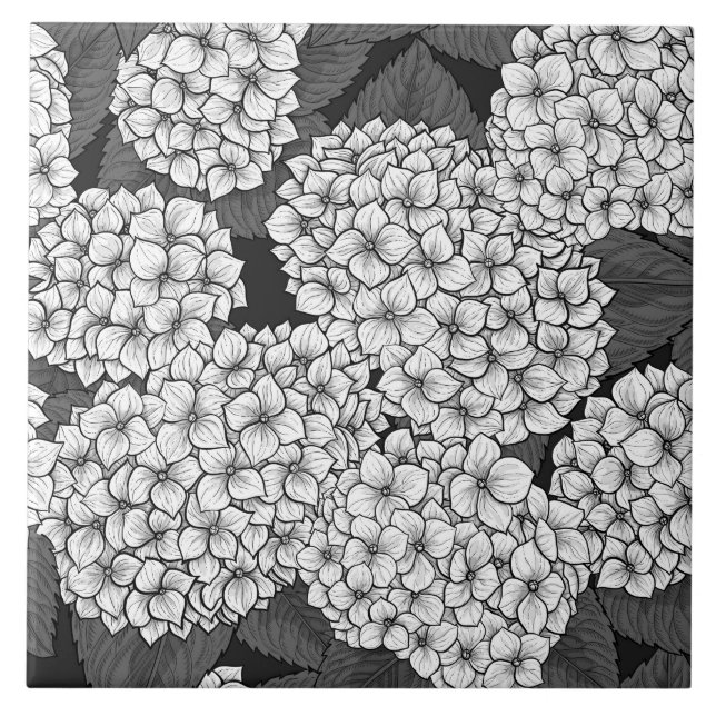 Carreau White hydrangea (Devant)