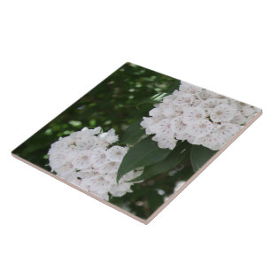 Carreau White Mountain Laurel Star Fleurs en forme