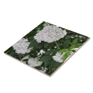 Carreau White Mountain Laurel Star Fleurs en forme