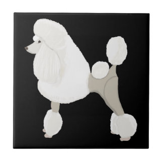 Carreau White Show Poodle