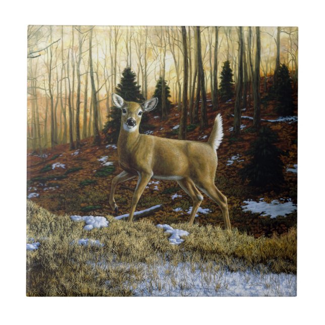 Carreau Whitetail Deer Doe dans la forêt d'automne (Devant)