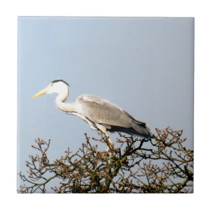 CARREAU WILD BIRD HERON