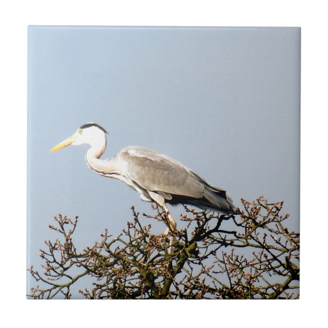 CARREAU WILD BIRD HERON (Devant)