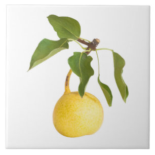 Carreau Wild pear