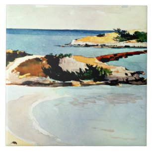 Carreau Winslow Homer - Île de Galles