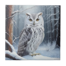 Wise Owl