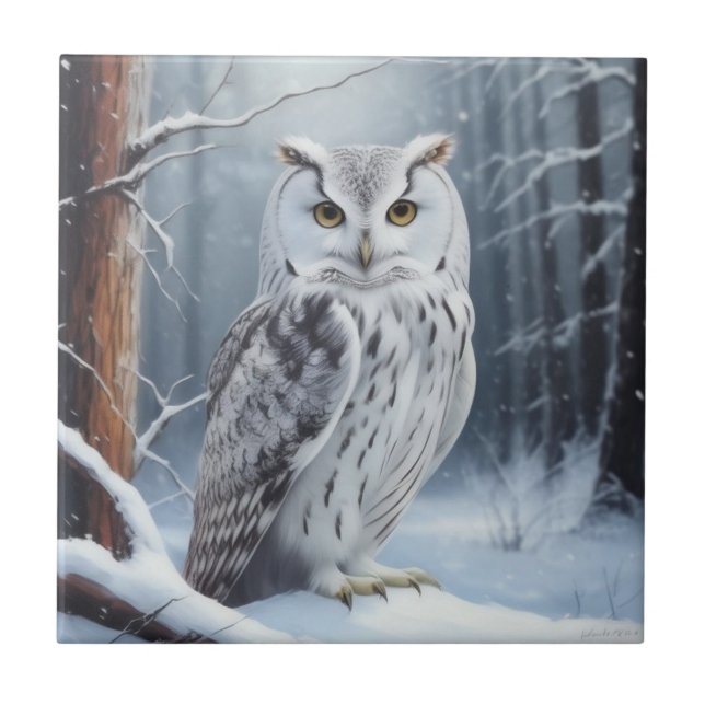 Carreau Wise Owl (Devant)
