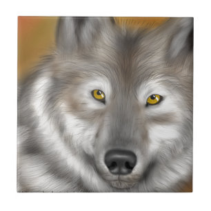 Carreau WolfPractice.png