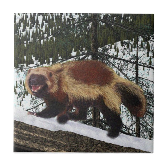 Carreau Wolverine (Devant)