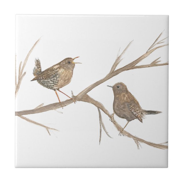 Carreau Wren Bird Faune Aquarelle Art Cute (Devant)