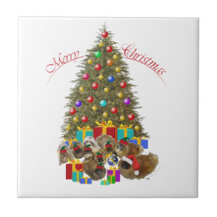 Carreau Xian de Pékin