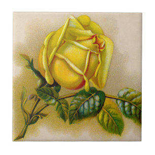 Carreau Yellow Rose Artwork