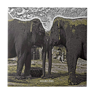 Carreau Yeux éléphants