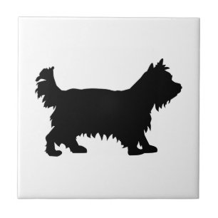 Carreau Yorkshire Terrier