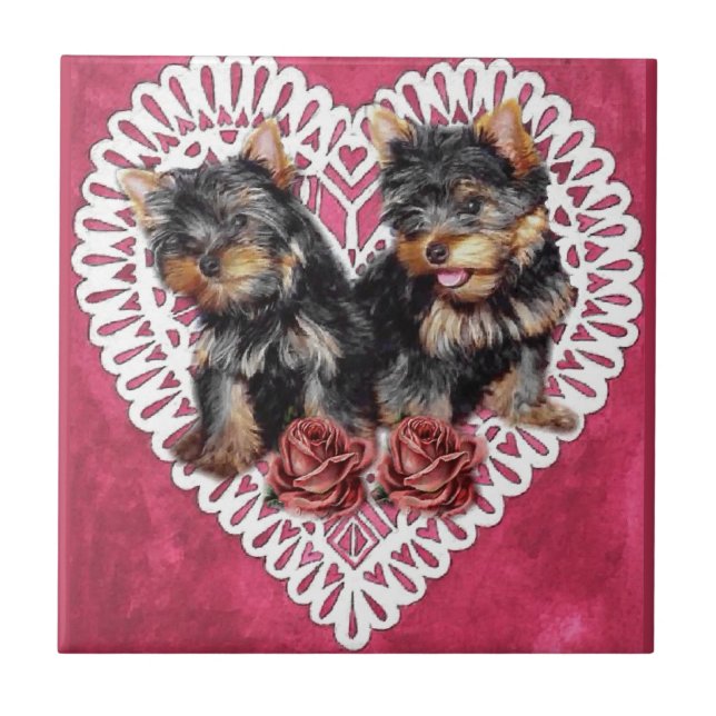 Carreau Yorkshire Terrier Chiots Valentines (Devant)