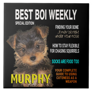Carreau Yorkshire Terrier Parody Magazine Couverture
