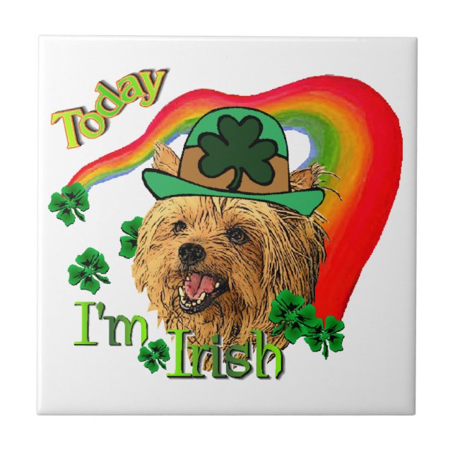 Carreau Yorkshire Terrier St patrick (Devant)