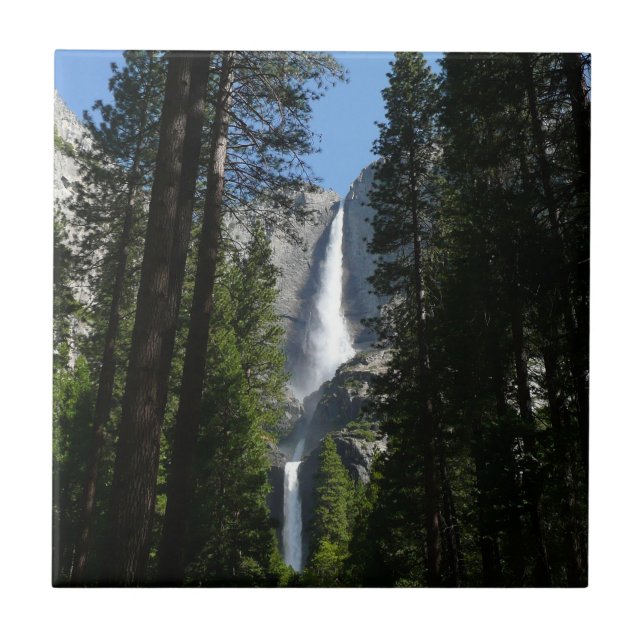 Carreau Yosemite Falls et Woods Paysage Photographie (Devant)
