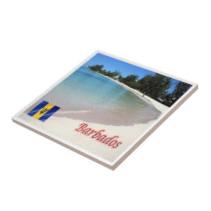 Carreau zBB007 BARBADOS The Beach, Sea View,