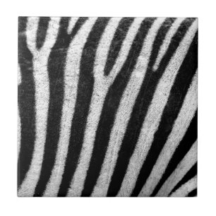 Carreau Zebra Skin