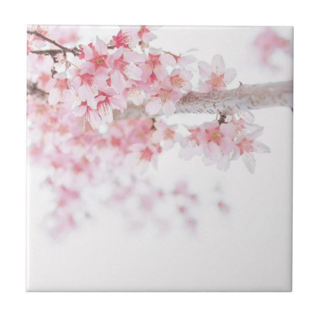 CARREAU ZEN CHERRY BLOSSOM CARRELAGE FLORAL CÉRAMIQUE (Devant)