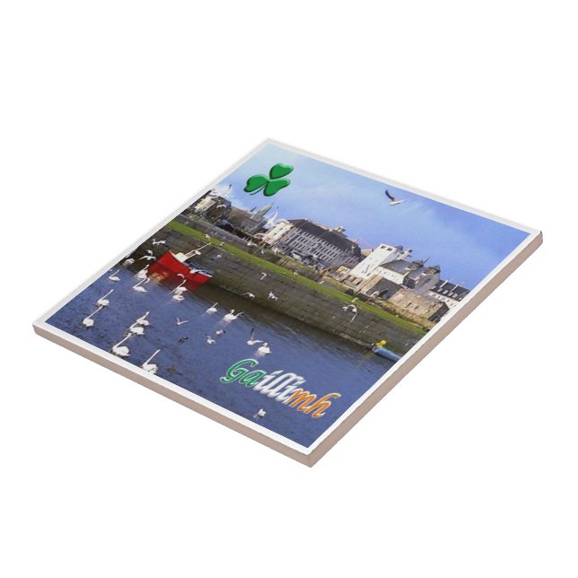 Carreau zIE005 GALWAY GAILLIMH, Irlande, (Côté)