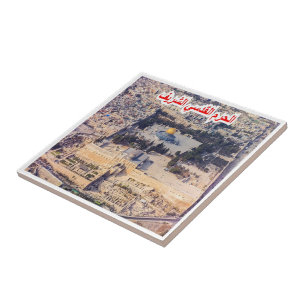 Carreau zIL008 TEMPLE MOUNT, Israël, Moyen-Orient,