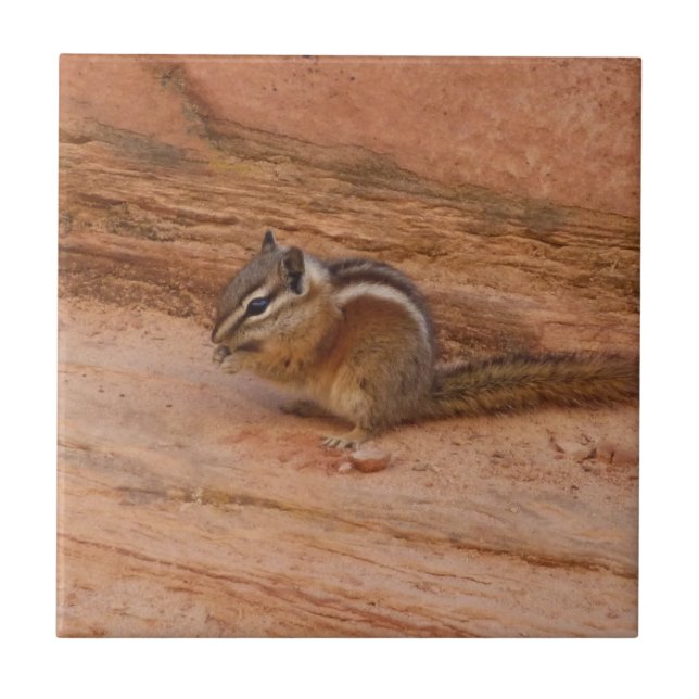 Carreau Zion Chipmunk sur Red Rocks (Devant)
