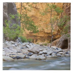 Carreau Zion Narrows