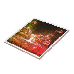 Carreau zMA008 FEZ par Nuit, Maroc, Afrique,