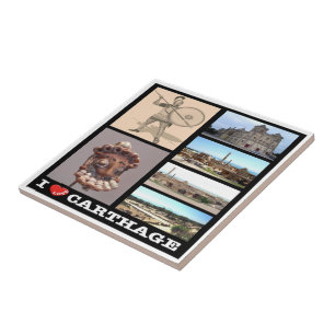 Carreau zTN016 CARTHAGE I Love, Mosaic, Tunisia,