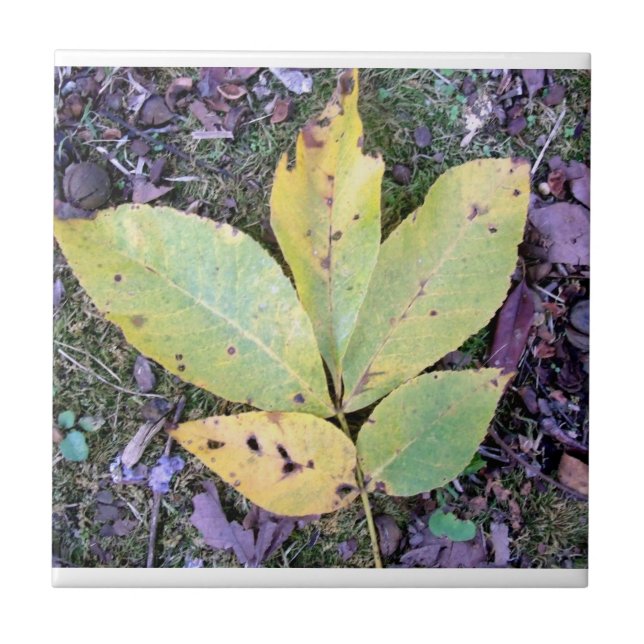 Carreaux céramique de automne (Devant)