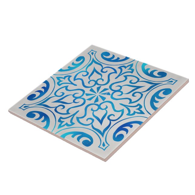 carreaux de céramique bleu et blanc (Côté)