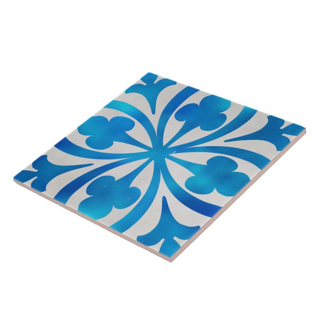 carreaux de céramique bleu et blanc (Côté)