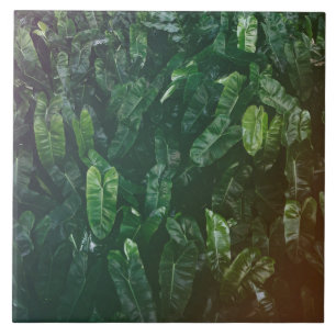 Carreaux de céramique de beau et élégant feuill