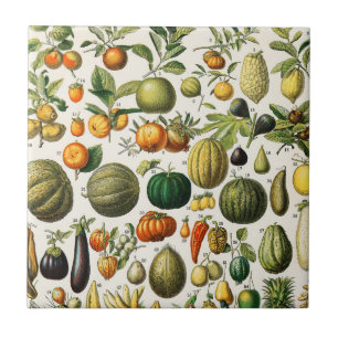 Carreaux de céramique Fruits et Légumes
