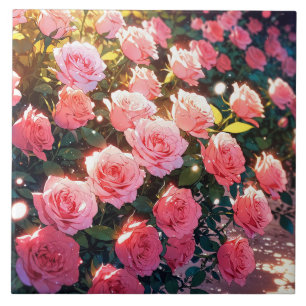 Carreaux de céramique rose