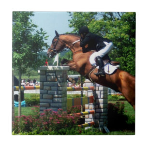 Carreaux de Cheval de Grand Prix