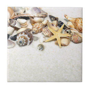 Carreaux de coquillages