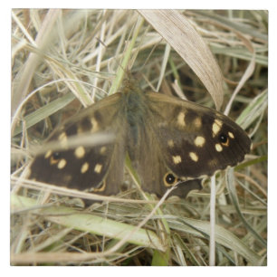 Carreaux de papillon en bois moucheté