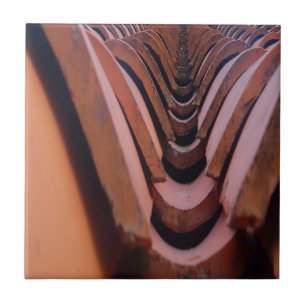 Carreaux de toit rustiques avec perspective unique