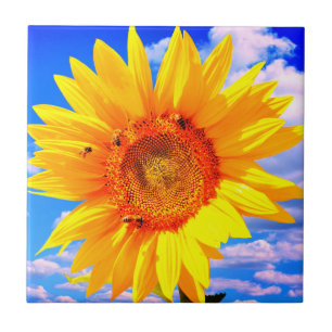 Carreaux de tournesol et d'abeilles