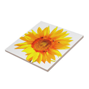 Carreaux de tournesol jaune