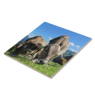 Carreaux de vache